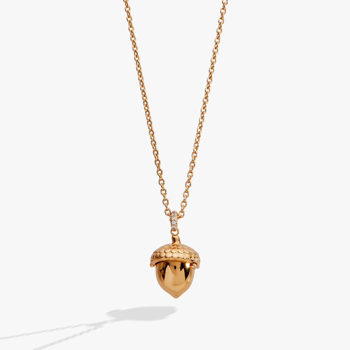 Woodland Acorn &amp; Hidden Squirrel Locket Necklace