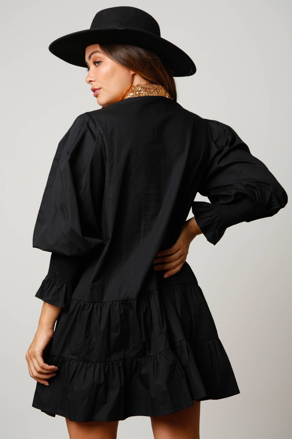 Nutcracker Poplin Dress