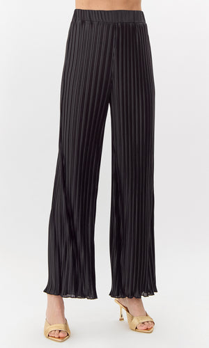 Randal Pleated Wide Leg Pant