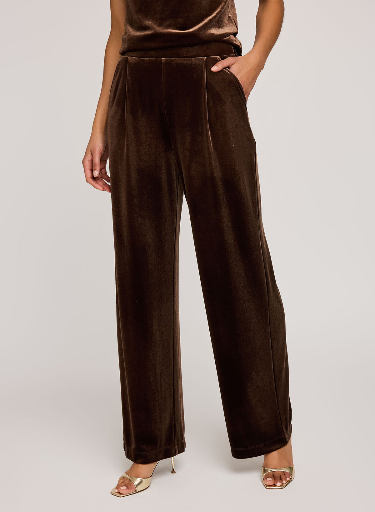 Sylvia Velvet Pant