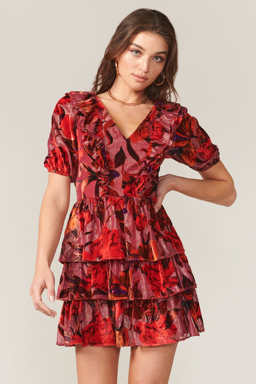 Khalia Burnout Velvet Dress